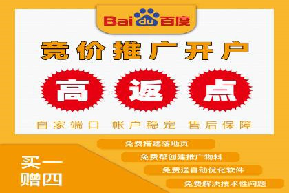 某零售企业网络推广竞价的成功策略分享
